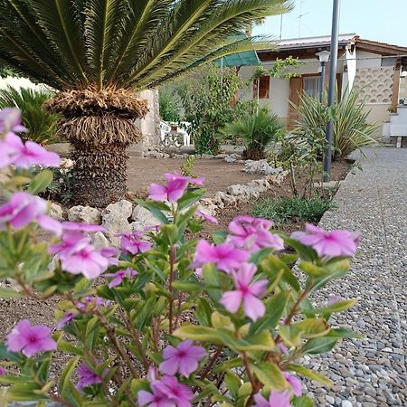 Il Giardino Di Sofia Charm And Comfort Apartment Torre dell'Orso Exterior foto