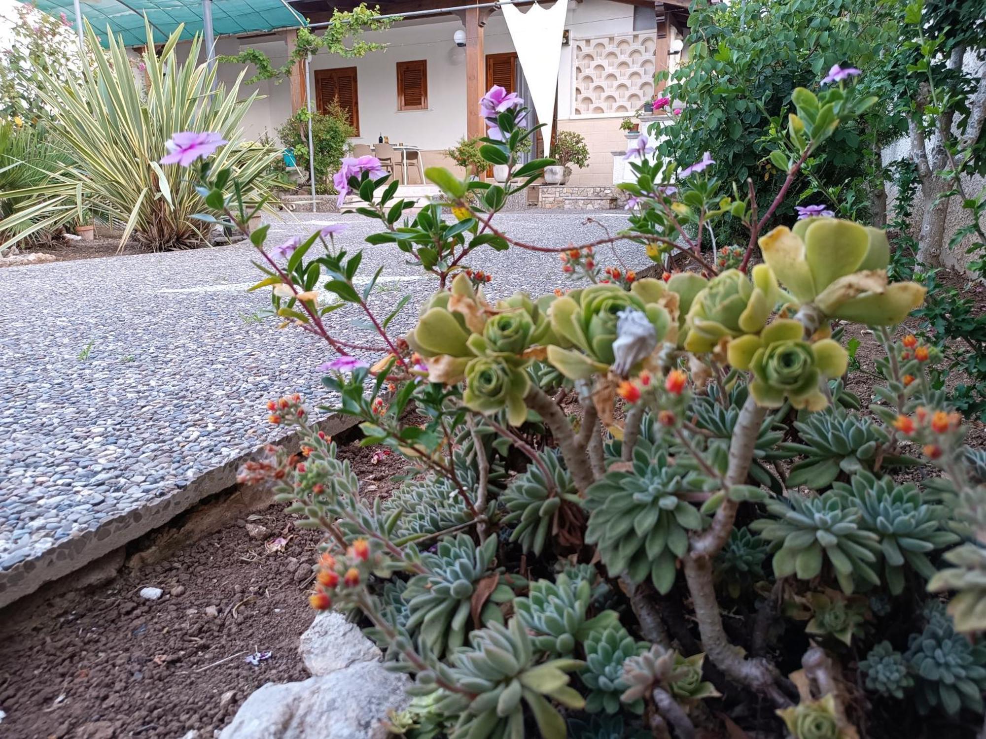 Il Giardino Di Sofia Charm And Comfort Apartment Torre dell'Orso Exterior foto