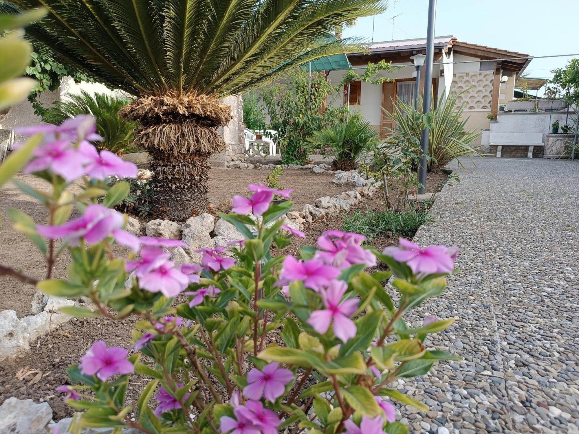 Il Giardino Di Sofia Charm And Comfort Apartment Torre dell'Orso Exterior foto